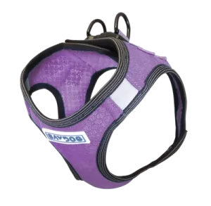 Bay Dog Liberty Harness Violet