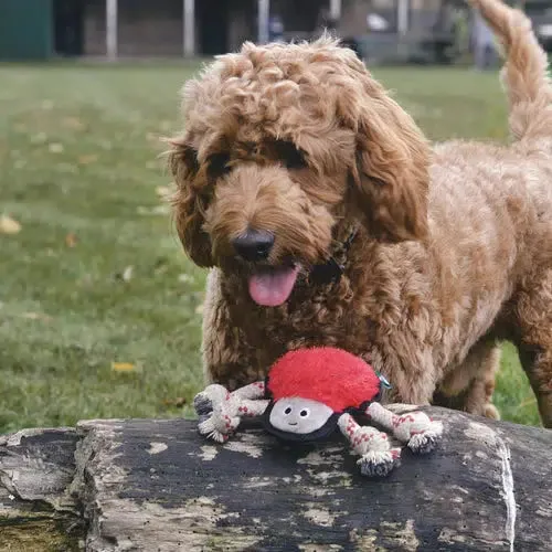 Beco - Recycled Rough & Tough - Steve the Spider Dog Toy