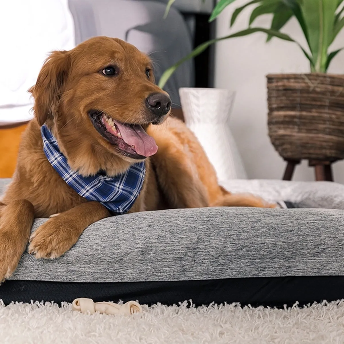 Bedgear Performance Dog Bed