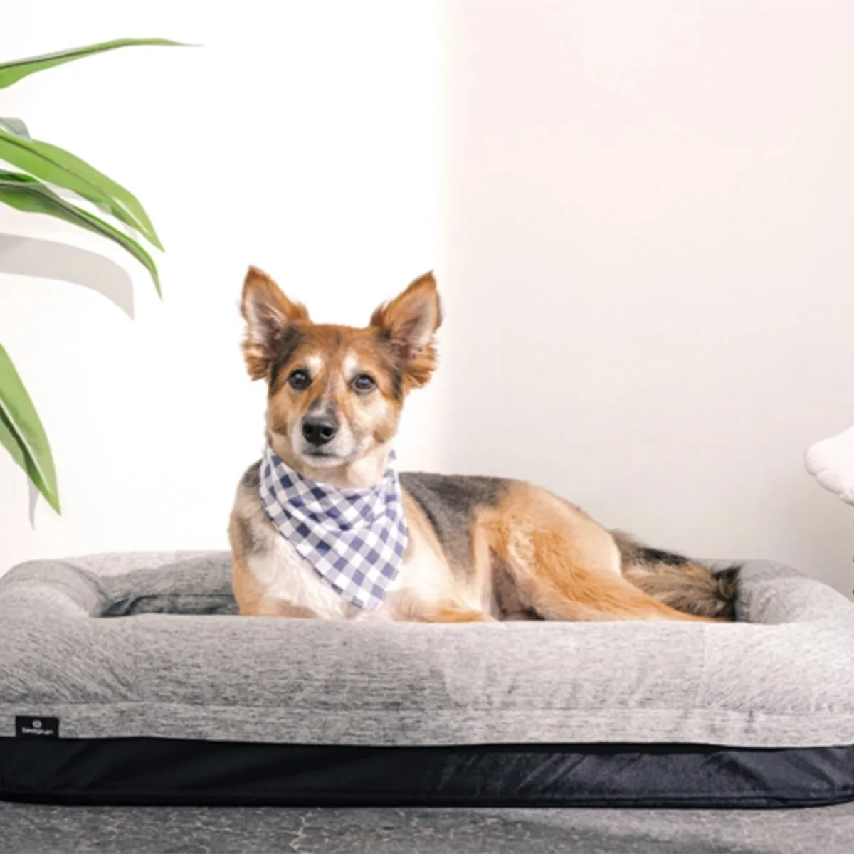 Bedgear Performance Dog Bed