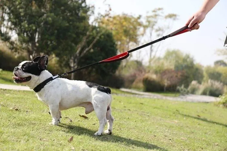 Benepaw Reflective Double Handle Dog Leash with Padded Handles: Ultimate Control and Comfort!