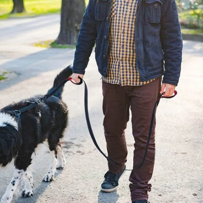 Benepaw Reflective Double Handle Dog Leash with Padded Handles: Ultimate Control and Comfort!