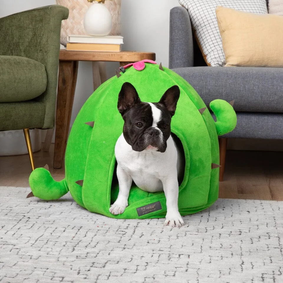 Cactus Dog & Cat Fun Bed Prive Collection