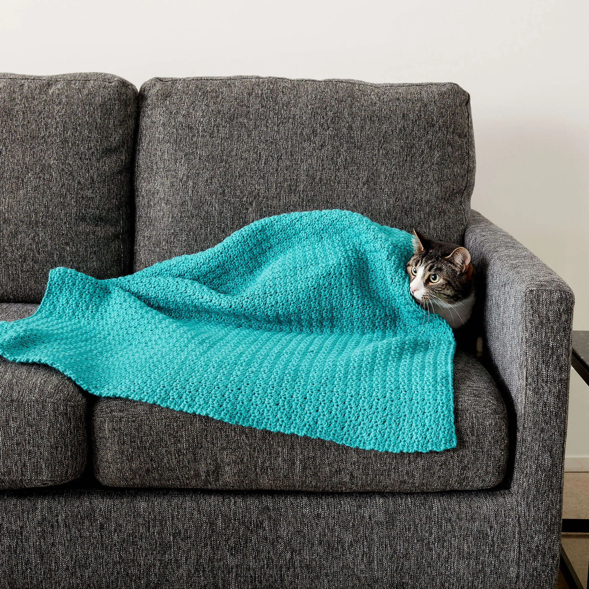 Caron Crochet Snuggle Pet Blanket