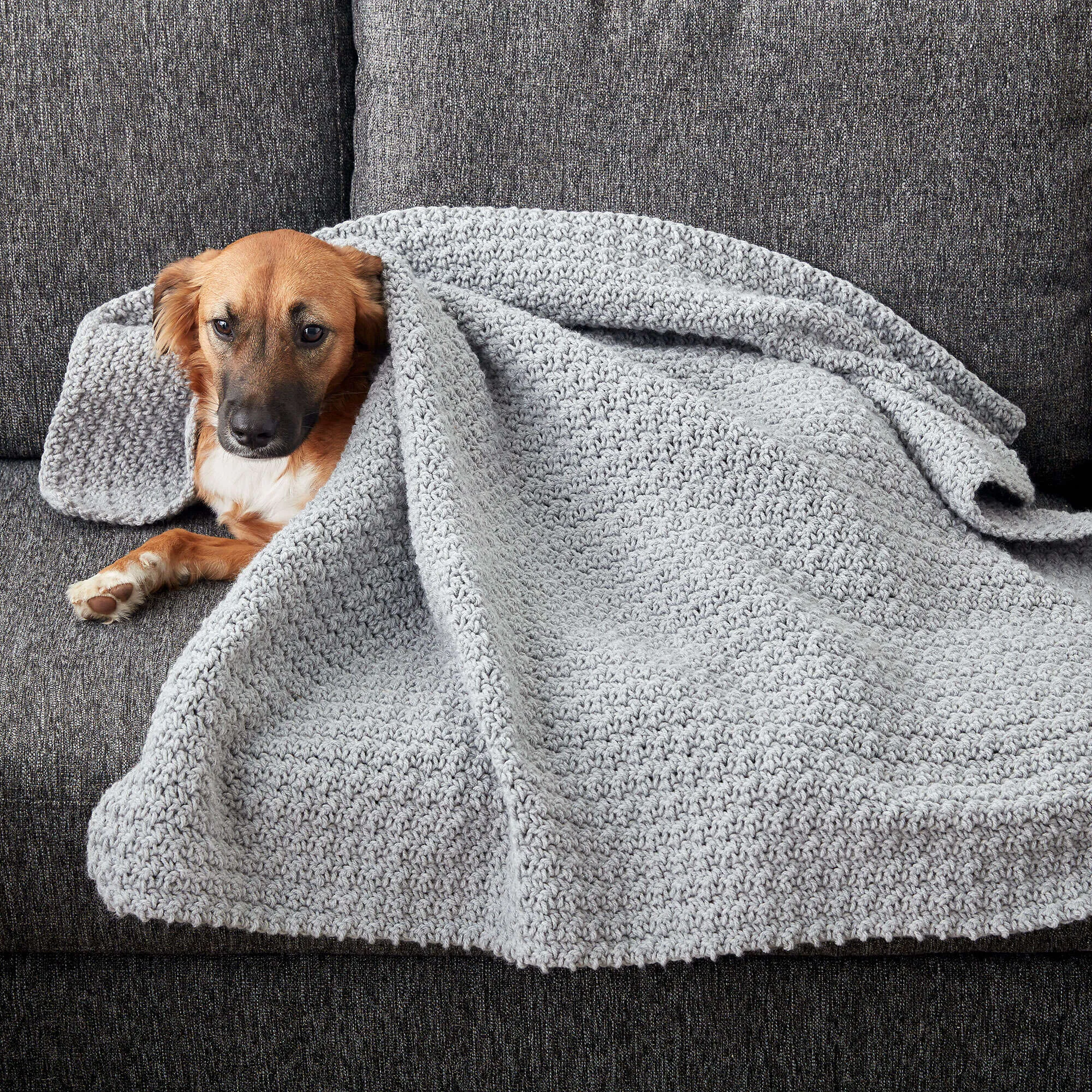 Caron Crochet Snuggle Pet Blanket