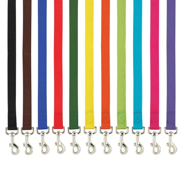 Casual Canine Nylon Leash Leads 6 ft x 5/8 in (6' x 5/8")