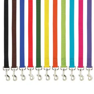 Casual Canine Nylon Leash Leads 6 ft x 5/8 in (6' x 5/8")