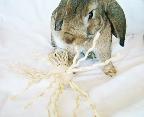 Daddy Long Legs Rabbit Toy - Natural