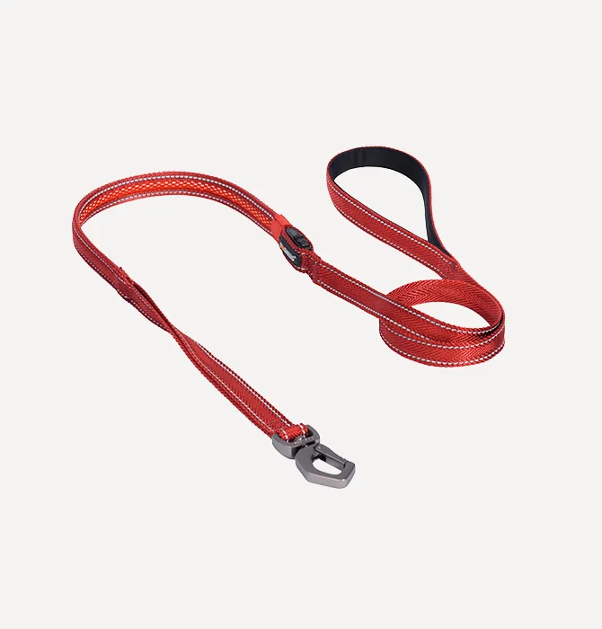 Dogness LED Leash