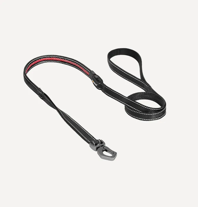 Dogness LED Leash