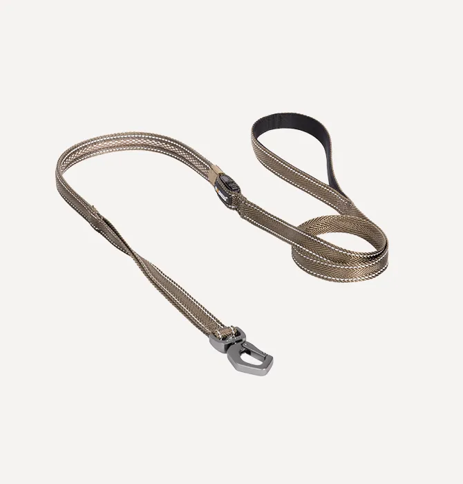 Dogness LED Leash