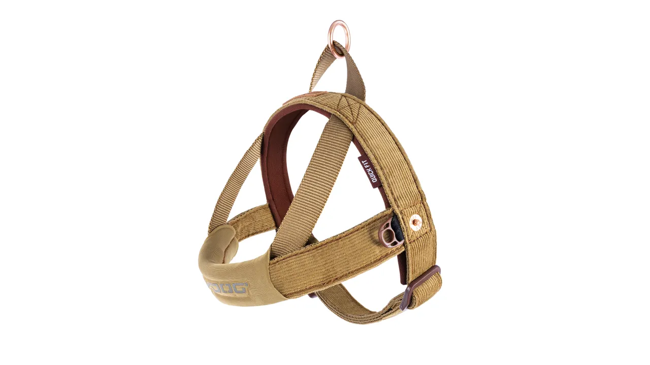 EzyDog Quick Fit Harness Corduroy