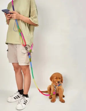 Hands- Free Reflective Nylon Leash