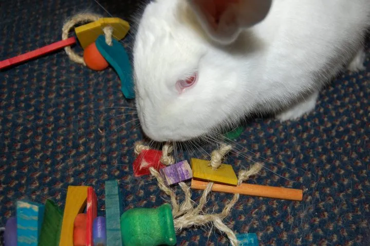 Hanging Sisal Rabbit Toy