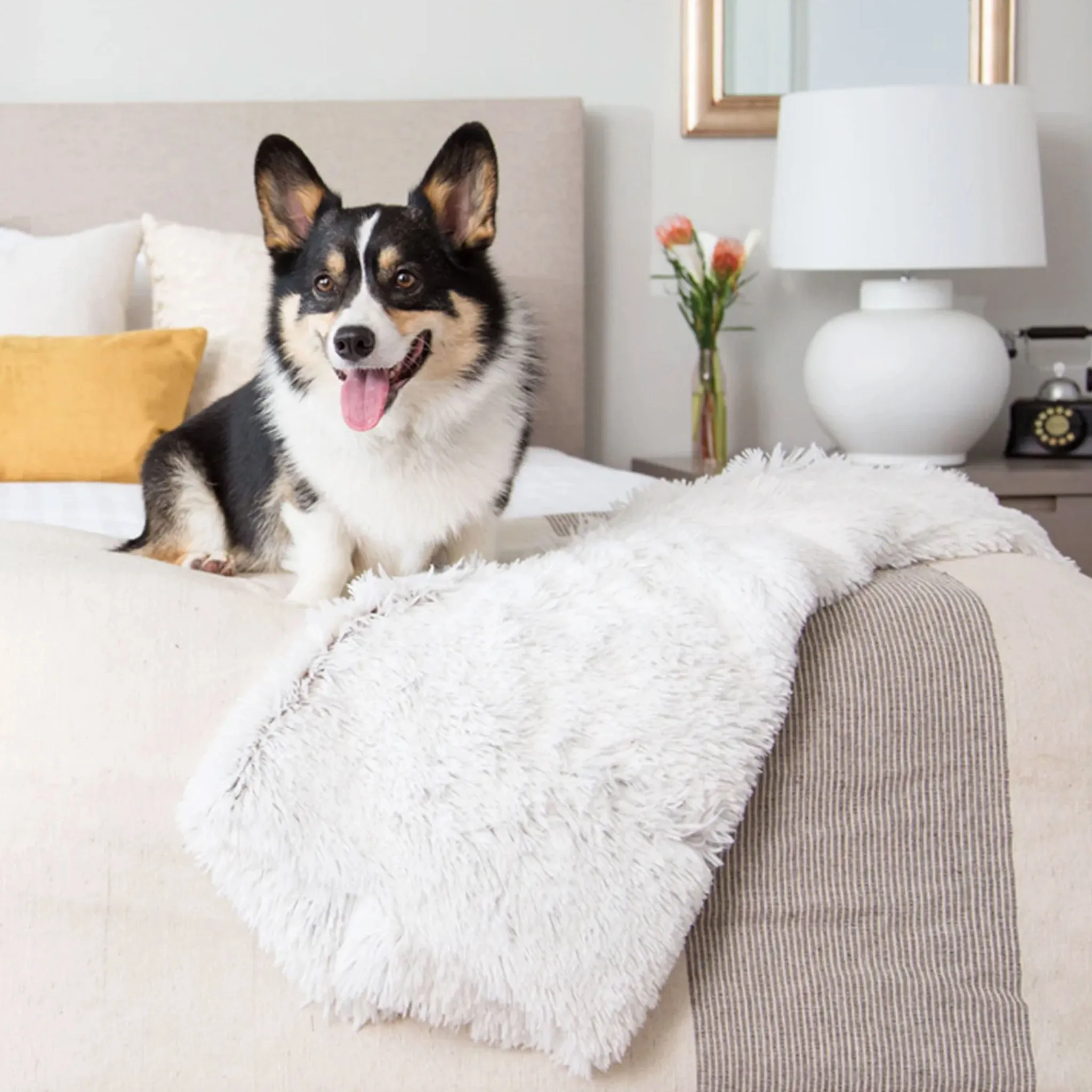 Jax & Bones Premium Arctic Shag Dog Blanket