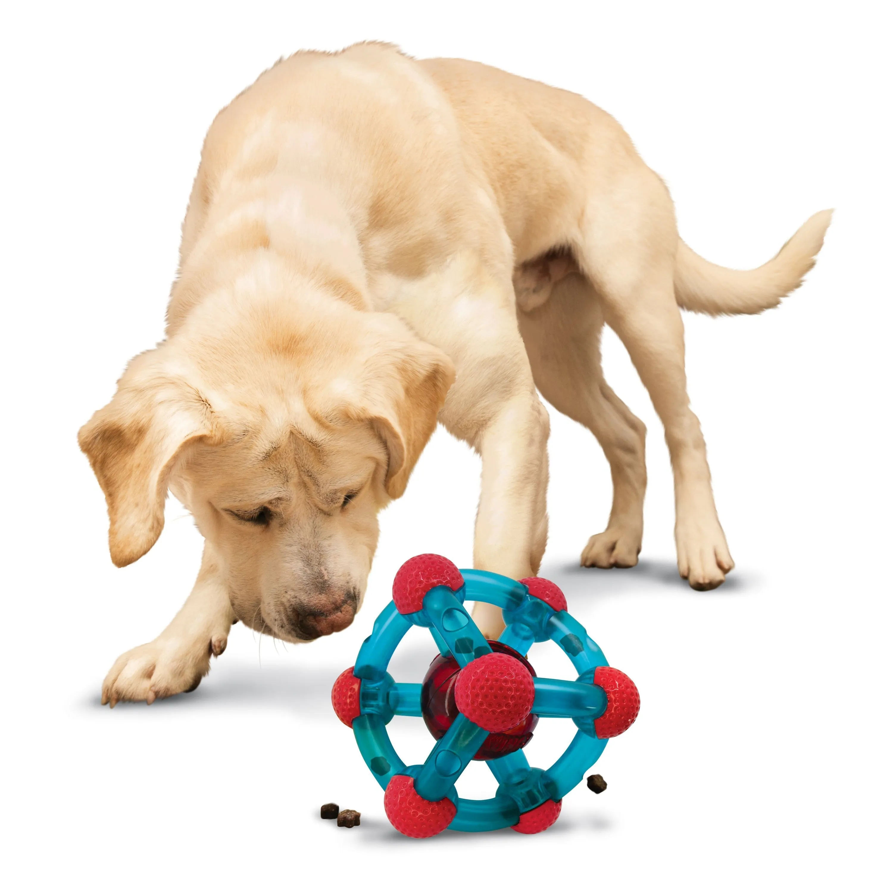 KONG Rewards Tinker Interactive Toy for Medium to Large Dogs