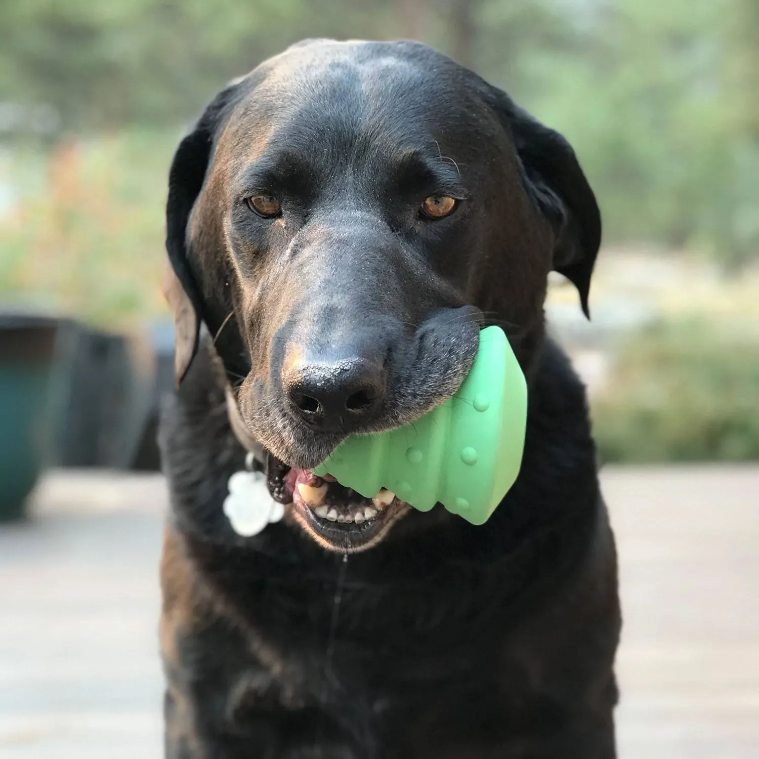 MKB Christmas Tree Durable Rubber Chew Toy