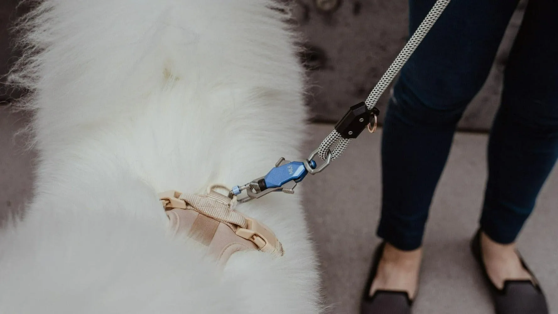 MUi Magnetic Rope Dog Leash