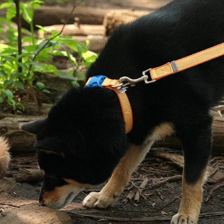 My Fluffy Collar (Medium- Yellow Orange)