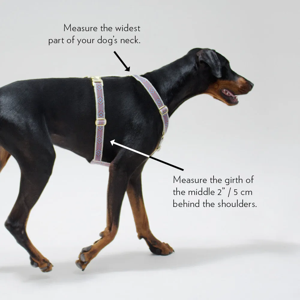 Nice Grill Harness - Ice Blue, Ivory and Cream from By Scout