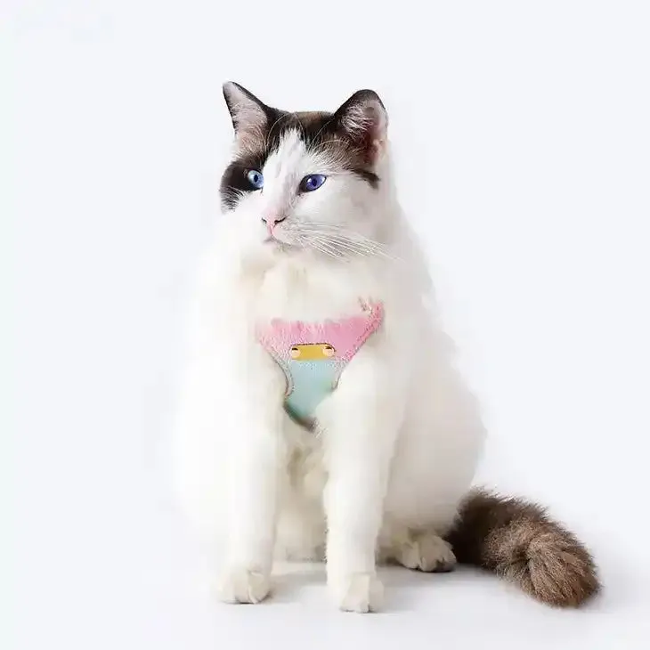 Ombre Vegan Leather Harness & Leash Set
