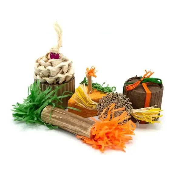 Oxbow Enriched Life - Birthday Party Pack