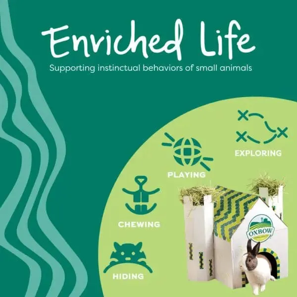 Oxbow Enriched Life - Birthday Party Pack