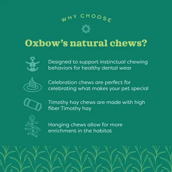 Oxbow Enriched Life - Birthday Party Pack