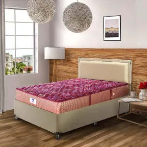 peps Springkoil Bonnell 10-inch Single Size Spring Mattress (Maroon, 75x48x10)