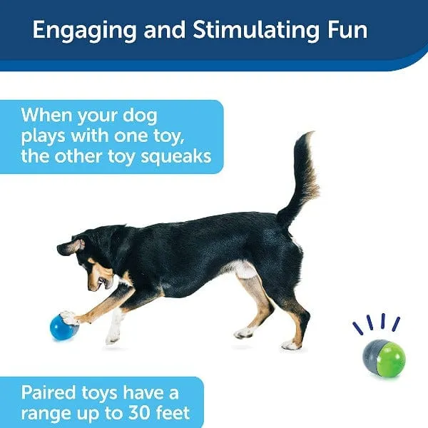 PetSafe Ricochet Electronic Dog Toy