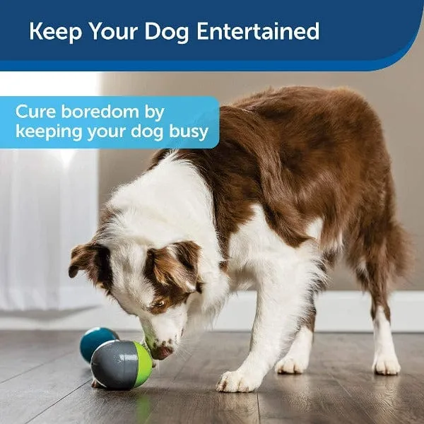 PetSafe Ricochet Electronic Dog Toy