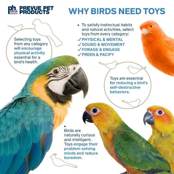 Prevue Pet Products 3-Box Stuff & Hide Bird Toy