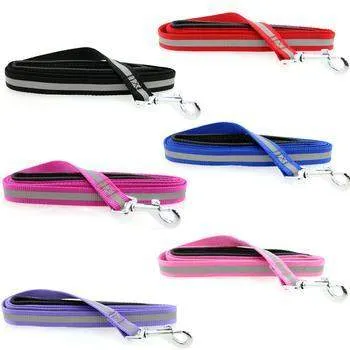 Reflective Nylon Dog Leash with Soft Grip Handle