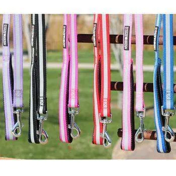 Reflective Nylon Dog Leash with Soft Grip Handle