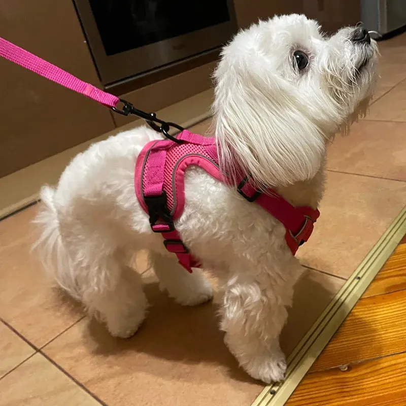 Reflective Pet Dog Harness and Leash Set for Small Dogs Chihuahua Yorkshire Fashion Breathable French Bulldog Puppy Harnesses