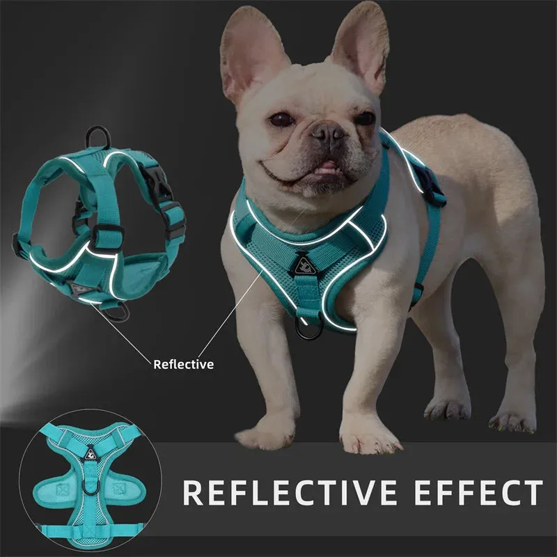 Reflective Pet Dog Harness and Leash Set for Small Dogs Chihuahua Yorkshire Fashion Breathable French Bulldog Puppy Harnesses