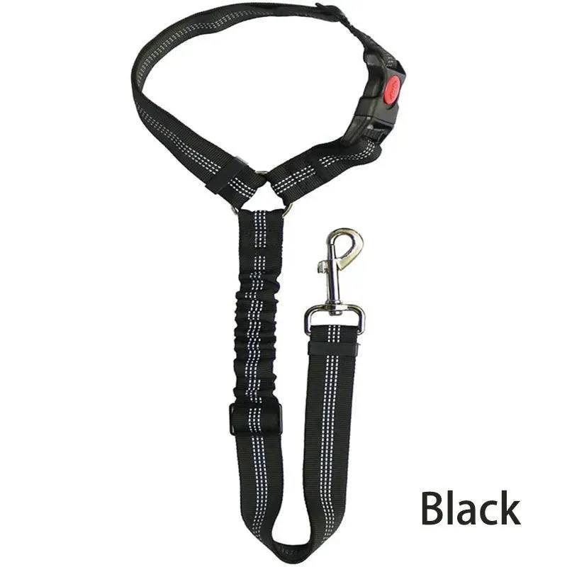 Reflective Pet Harness Leash: Night Safety Solution for Dogs - Premium Comfort & Visibility