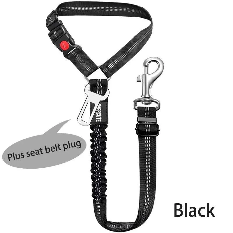 Reflective Pet Harness Leash: Night Safety Solution for Dogs - Premium Comfort & Visibility