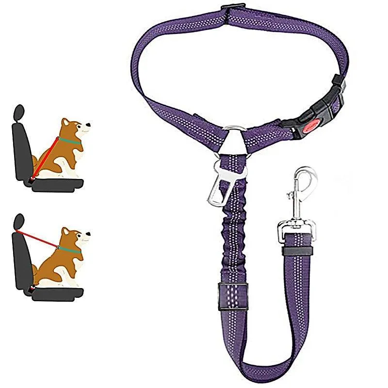 Reflective Pet Harness Leash: Night Safety Solution for Dogs - Premium Comfort & Visibility