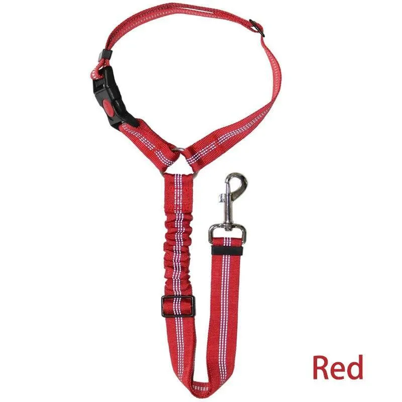 Reflective Pet Harness Leash: Night Safety Solution for Dogs - Premium Comfort & Visibility