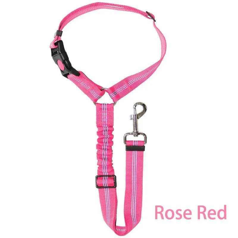 Reflective Pet Harness Leash: Night Safety Solution for Dogs - Premium Comfort & Visibility