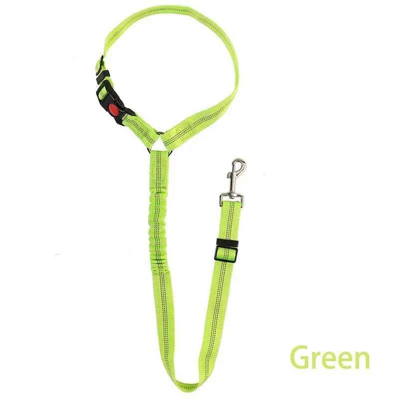 Reflective Pet Harness Leash: Night Safety Solution for Dogs - Premium Comfort & Visibility