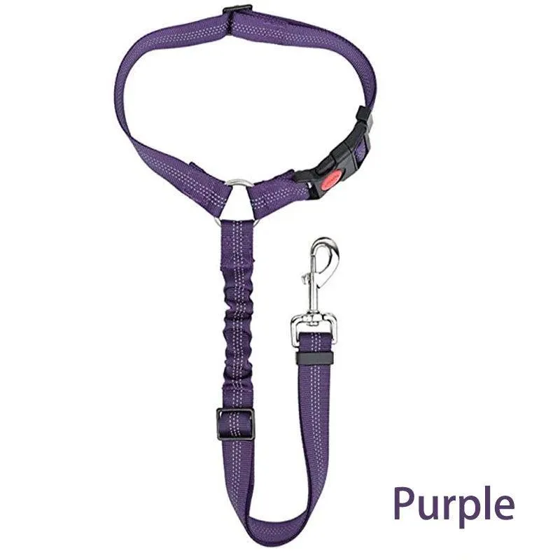 Reflective Pet Harness Leash: Night Safety Solution for Dogs - Premium Comfort & Visibility