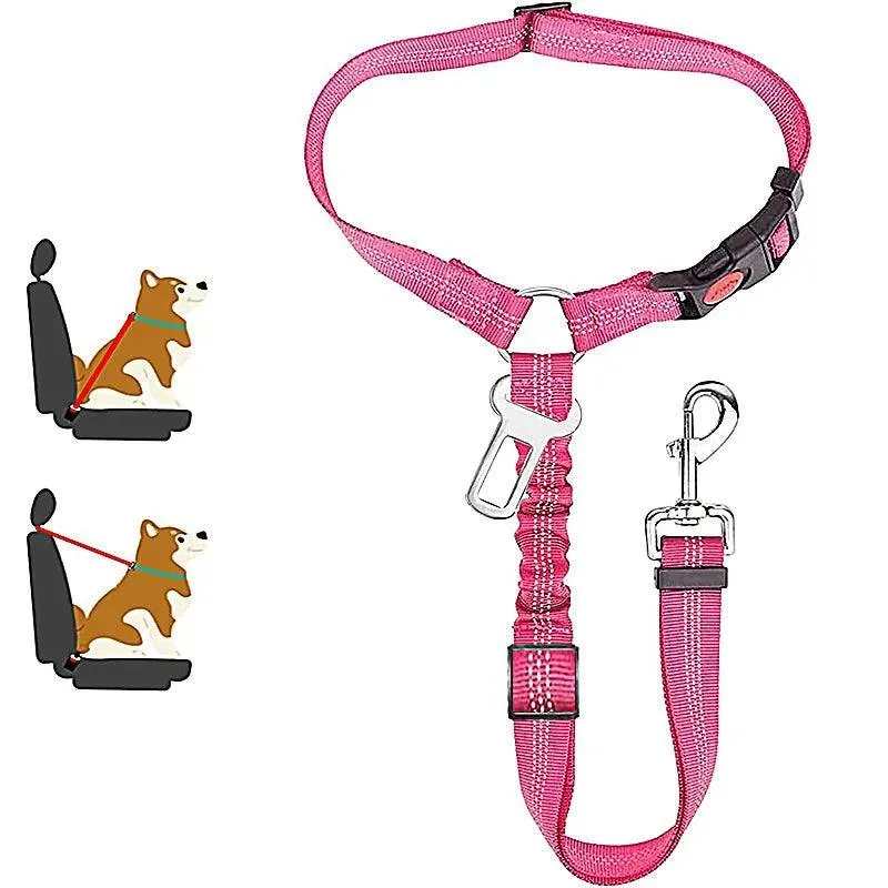 Reflective Pet Harness Leash: Night Safety Solution for Dogs - Premium Comfort & Visibility