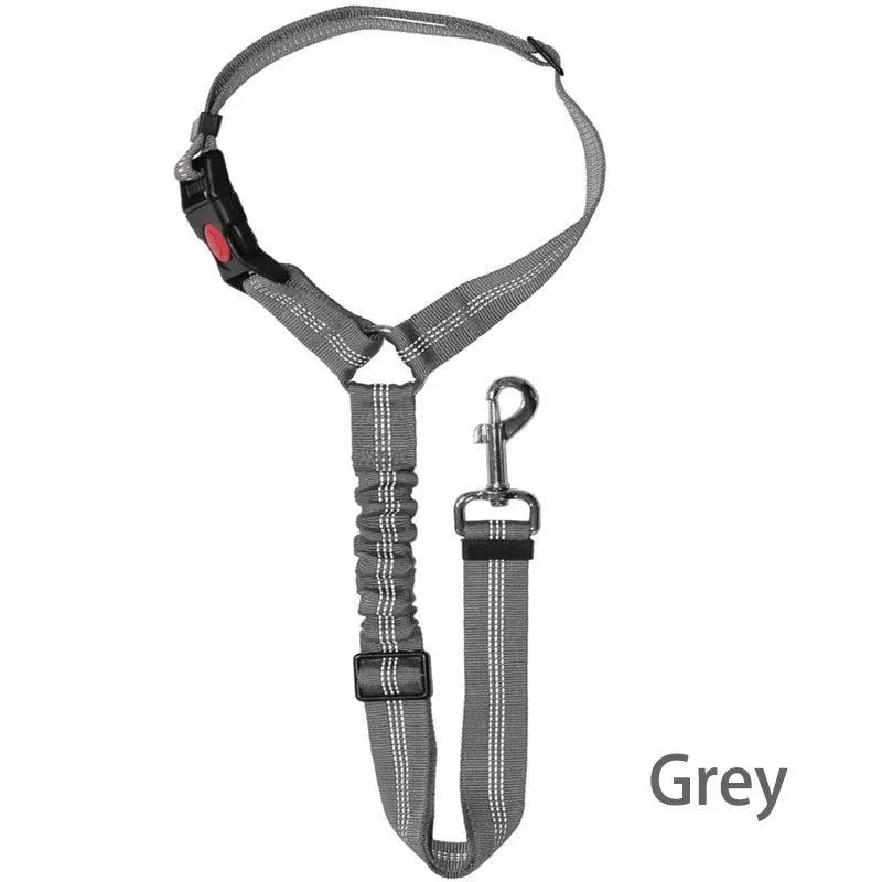 Reflective Pet Harness Leash: Night Safety Solution for Dogs - Premium Comfort & Visibility