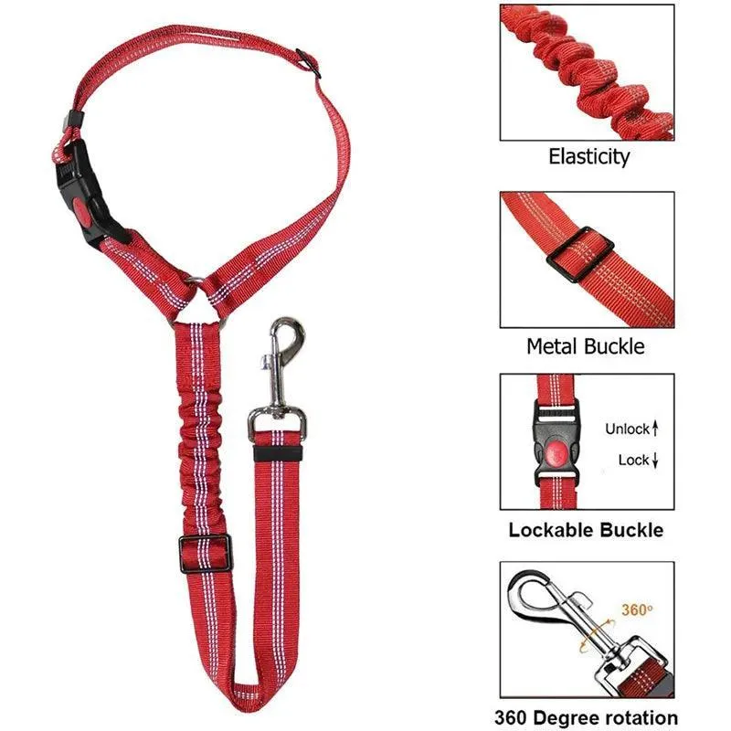 Reflective Pet Harness Leash: Night Safety Solution for Dogs - Premium Comfort & Visibility