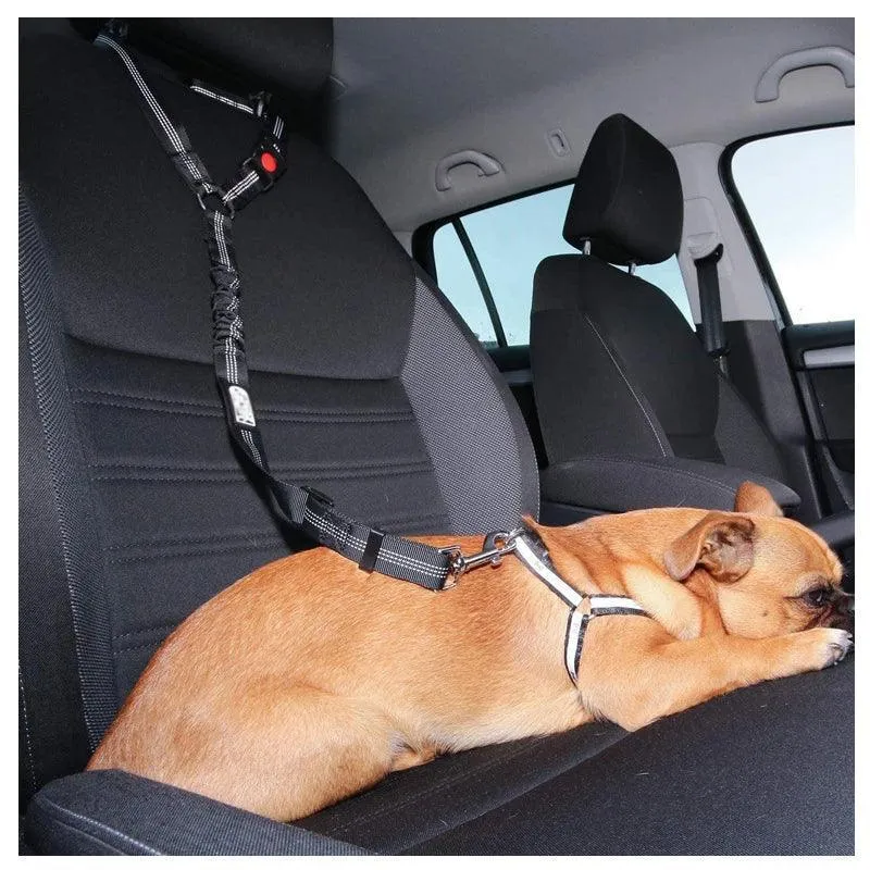 Reflective Pet Harness Leash: Night Safety Solution for Dogs - Premium Comfort & Visibility