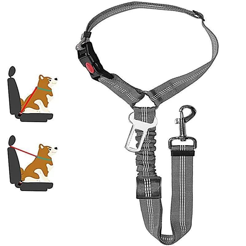 Reflective Pet Harness Leash: Night Safety Solution for Dogs - Premium Comfort & Visibility