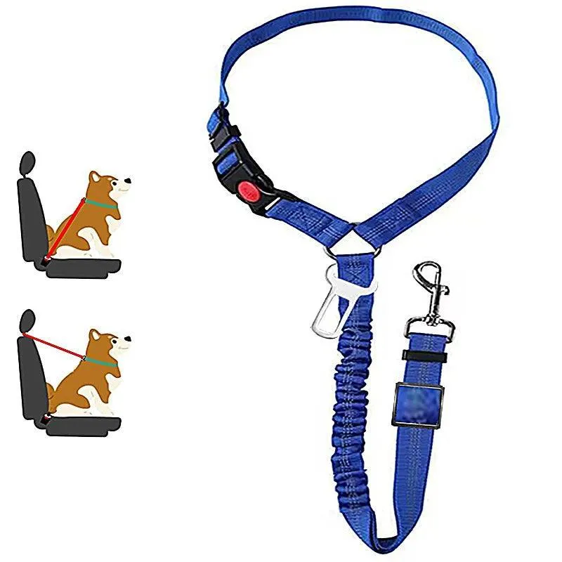 Reflective Pet Harness Leash: Night Safety Solution for Dogs - Premium Comfort & Visibility