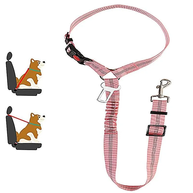 Reflective Pet Harness Leash: Night Safety Solution for Dogs - Premium Comfort & Visibility